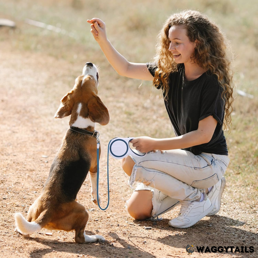 Waggytails Retractable Dog Leash - Sapphire Blue
