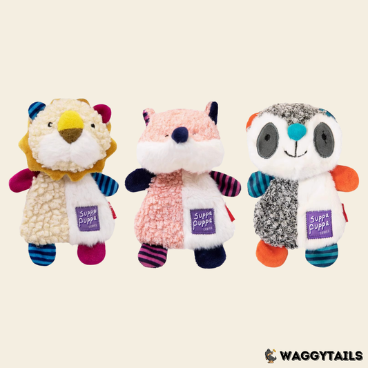 GiGwi Suppa Puppa Plush Toy - Raccoon