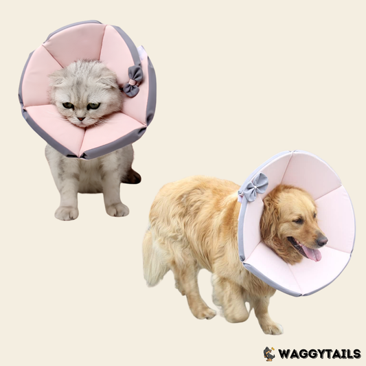 Waggytails Soft Pet Recovery Cone - Pink