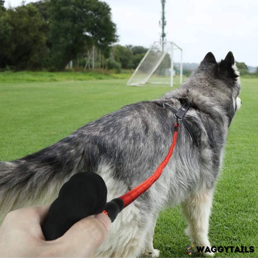 Waggytails Heavy Duty Reflective Dog Leash - Red