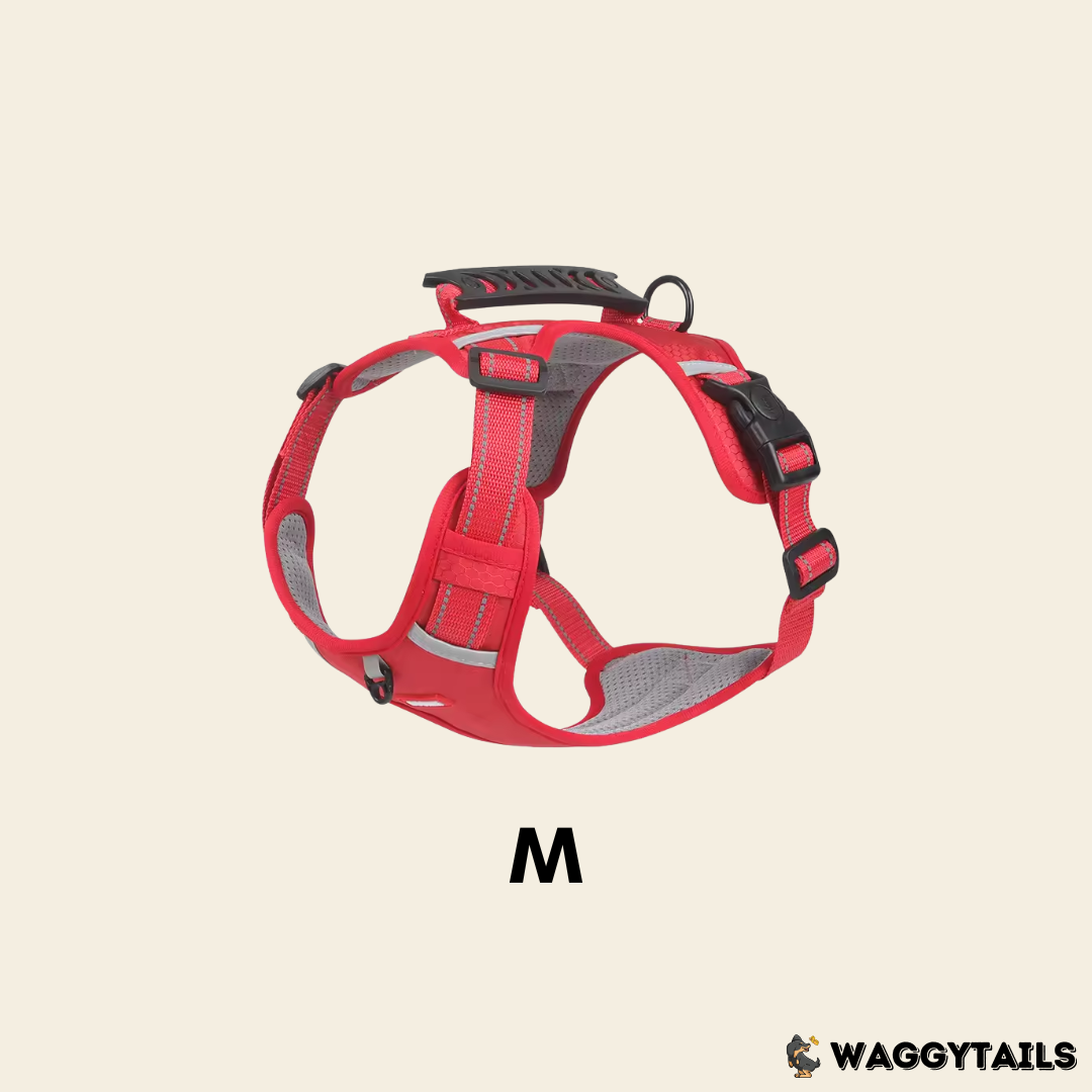 Waggytails Adjustable Reflective Dog Harness - Red