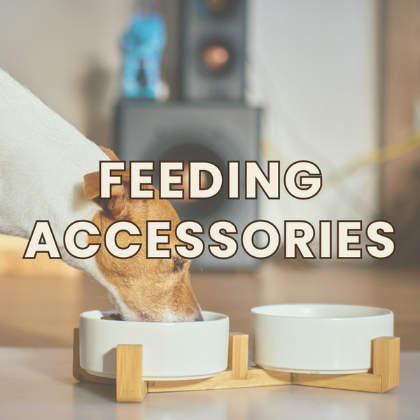Feeding Accessories