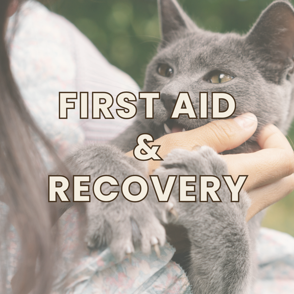 First Aid and Recovery
