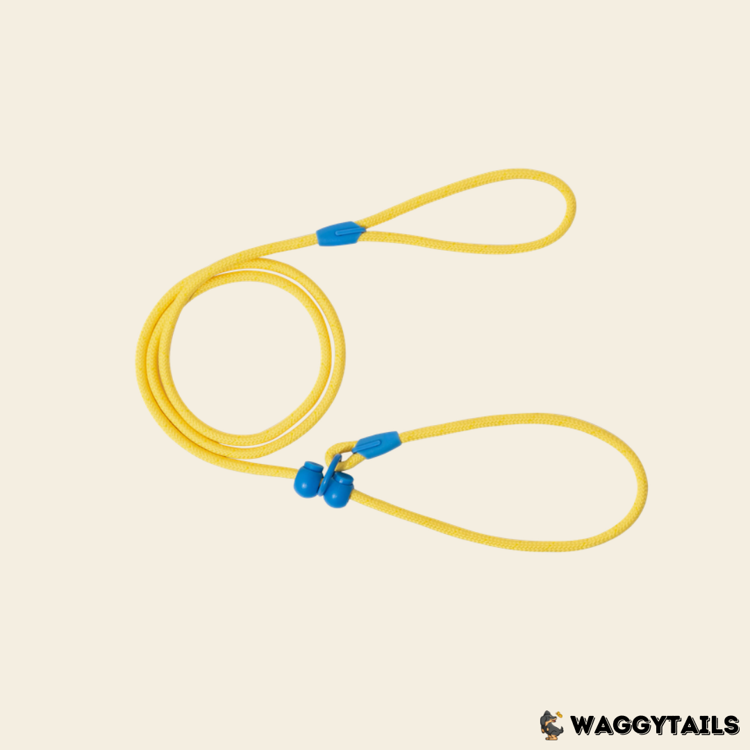 Waggytails Slip Lead Rope Leash in Yellow