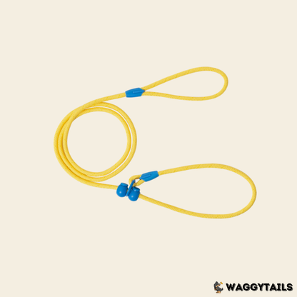 Waggytails Slip Lead Rope Leash in Yellow