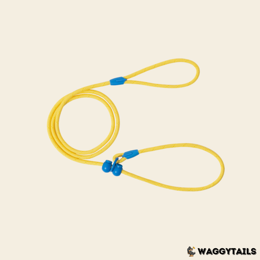 Waggytails Slip Lead Rope Leash in Yellow