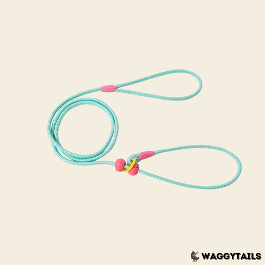 Waggytails Slip Lead Rope Leash in Mint Green