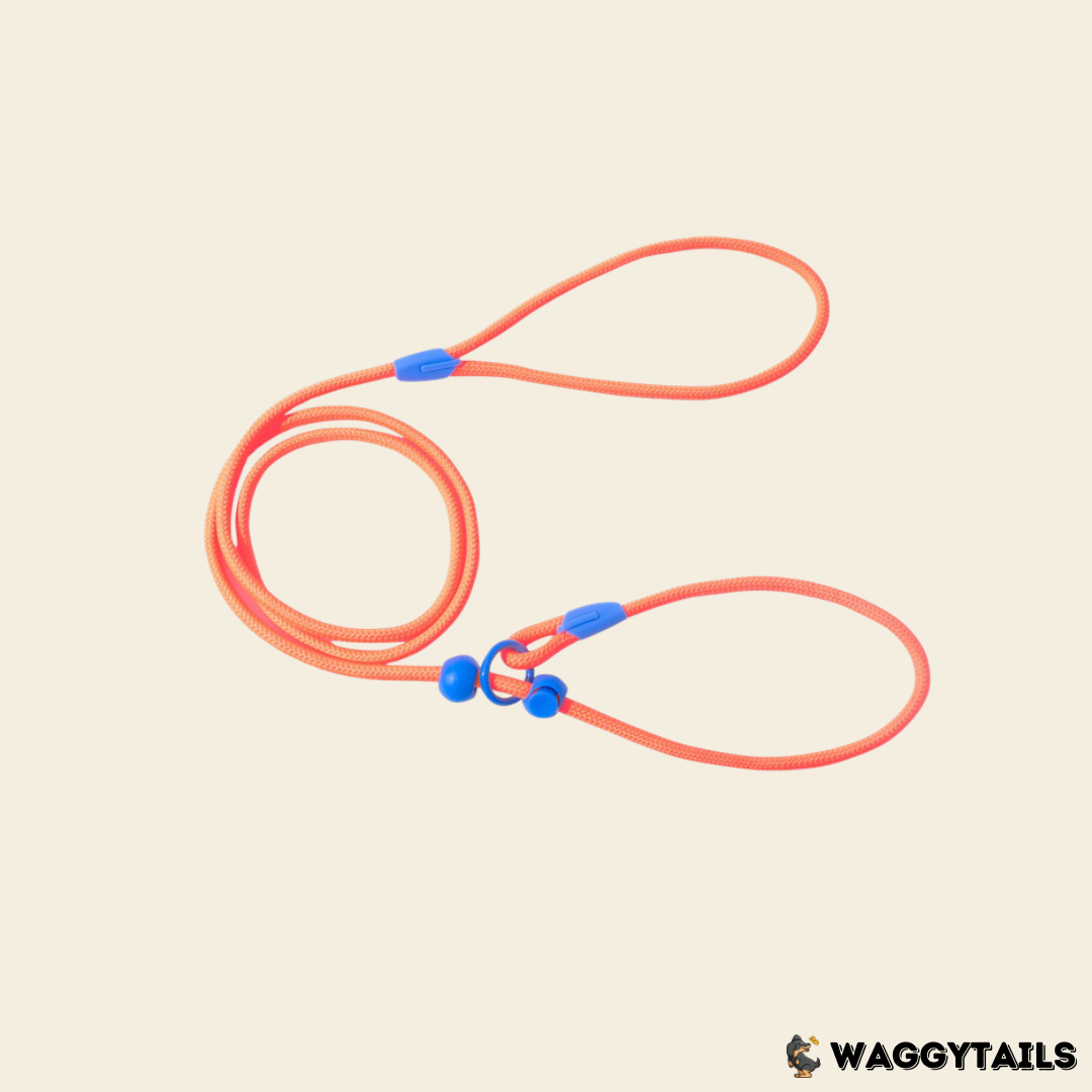 Waggytails Slip Lead Rope Leash in Orange