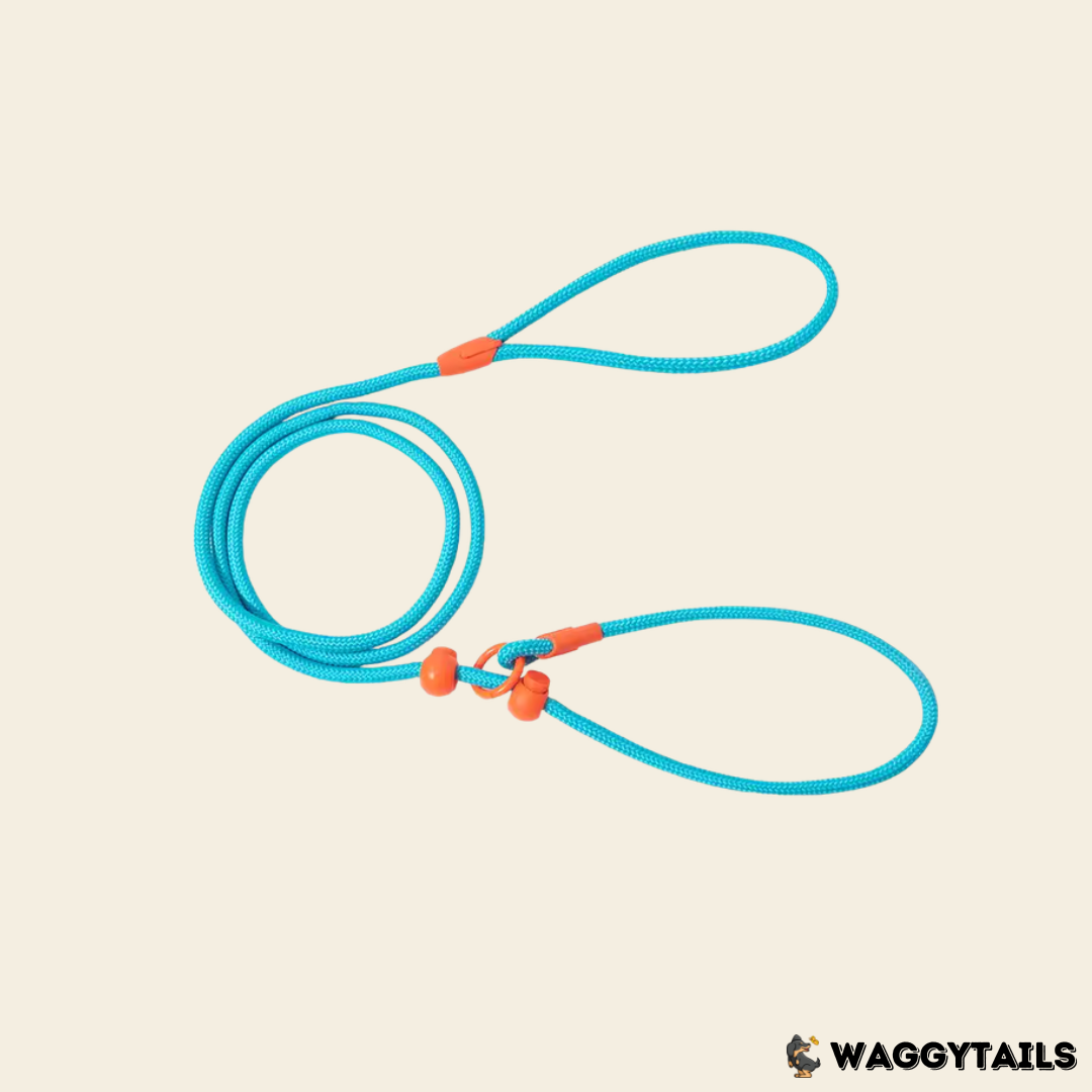 Waggytails Slip Lead Rope Leash in Turquoise Blue