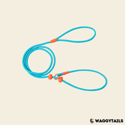Waggytails Slip Lead Rope Leash in Turquoise Blue