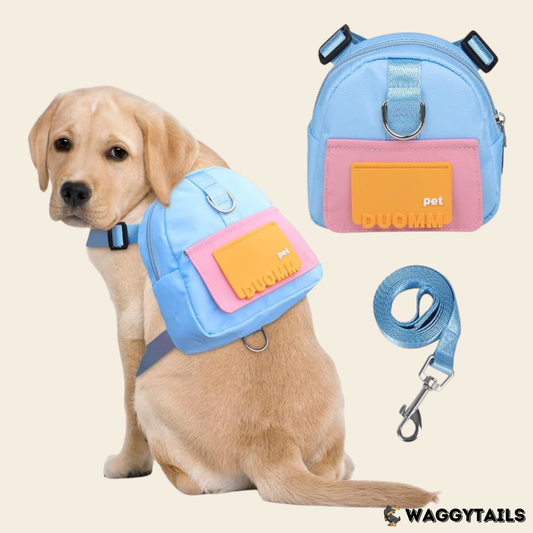 Waggytails Harness Bag in Blue, in use