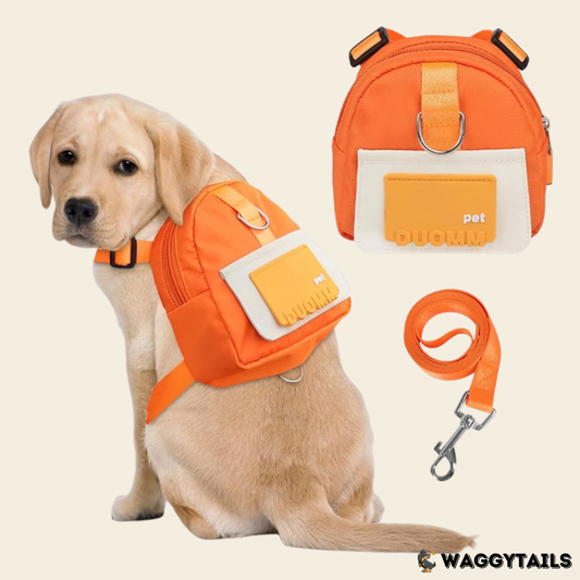 Waggytails Harness Bag in Orange, in use