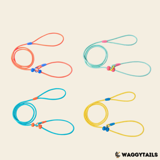 Waggytails Slip Lead Rope Leash in Mint Green, in use
