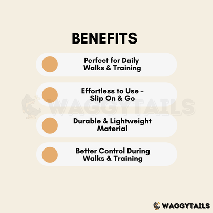 Waggytails Slip Lead Rope Leash in Orange, benefits overview