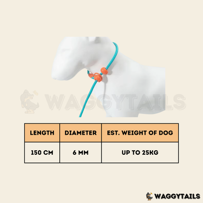 Waggytails Slip Lead Rope Leash in Turquoise Blue, size and length details