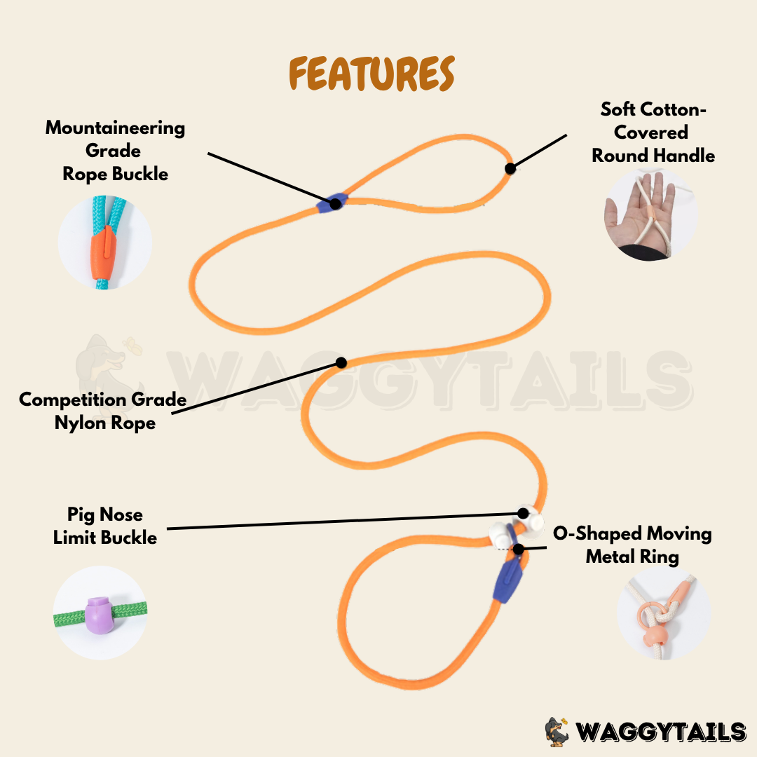 Waggytails Slip Lead Rope Leash in Turquoise Blue, material and construction close-up