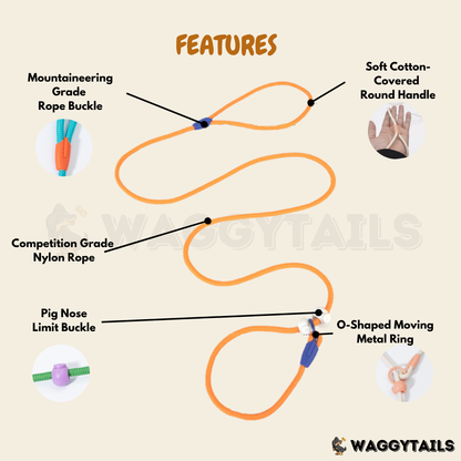 Waggytails Slip Lead Rope Leash in Mint Green, material and construction close-up