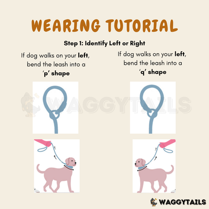 Waggytails Slip Lead Rope Leash in Turquoise Blue, how to use
