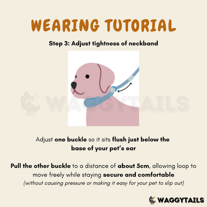 Waggytails Slip Lead Rope Leash in Turquoise Blue, additional view