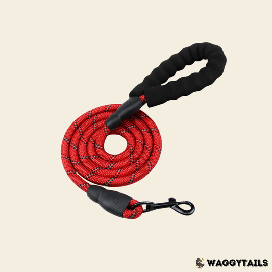 Waggytails Heavy Duty Reflective Dog Leash - Red