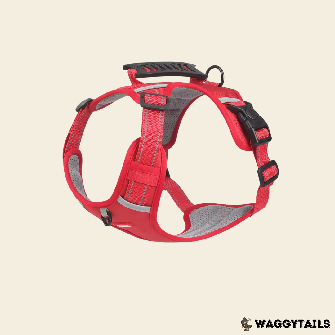 Waggytails Adjustable Reflective Dog Harness - Red