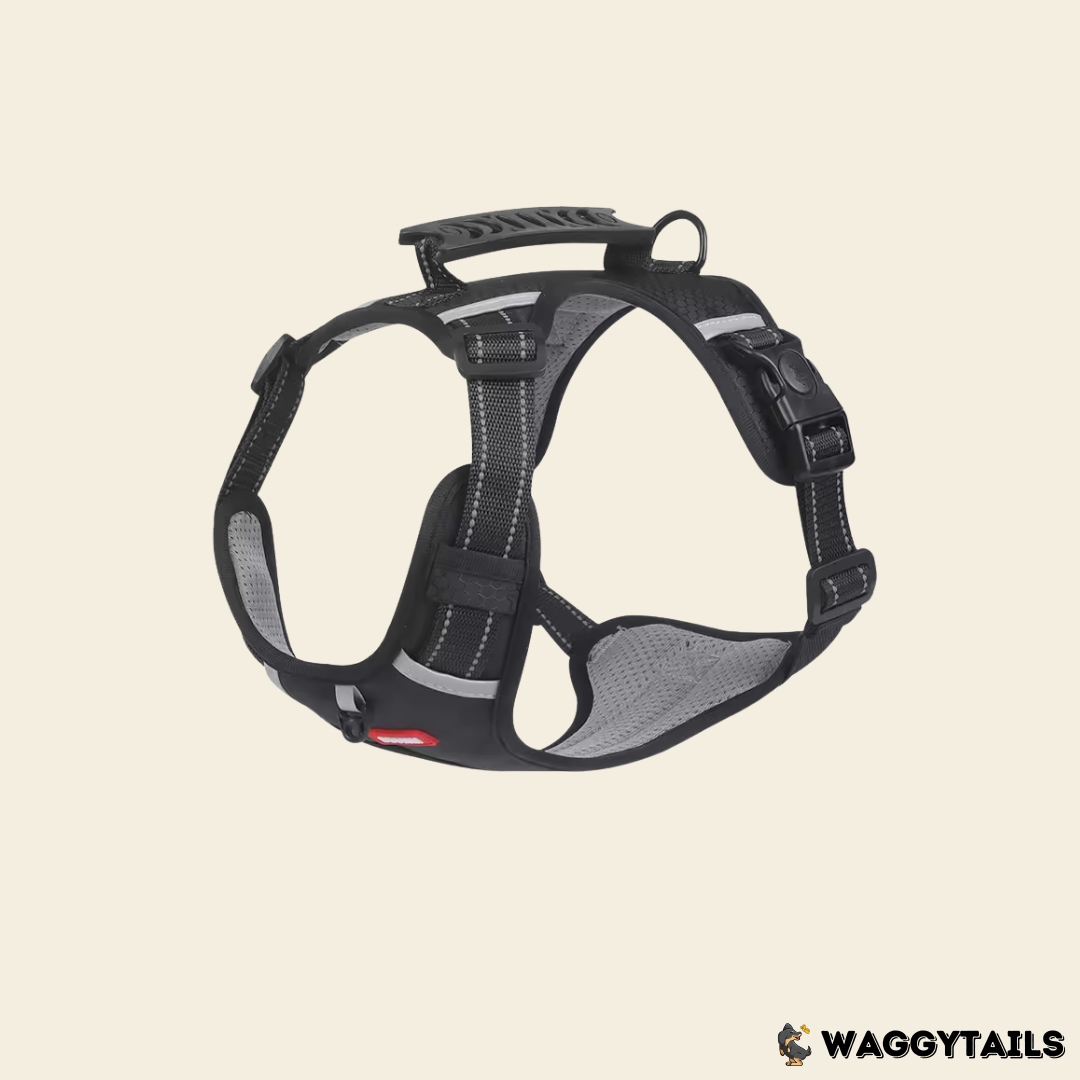 Waggytails Adjustable Reflective Dog Harness - Black