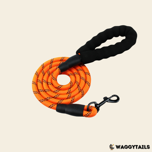 Waggytails Heavy Duty Reflective Dog Leash - Orange