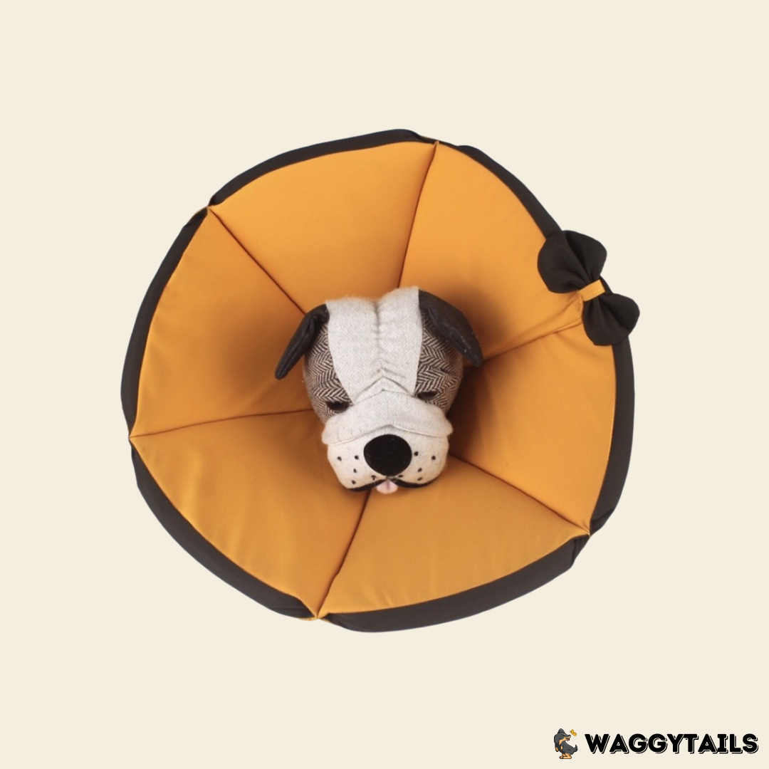 Waggytails Soft Pet Recovery Cone - Orange