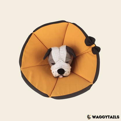 Waggytails Soft Pet Recovery Cone - Orange