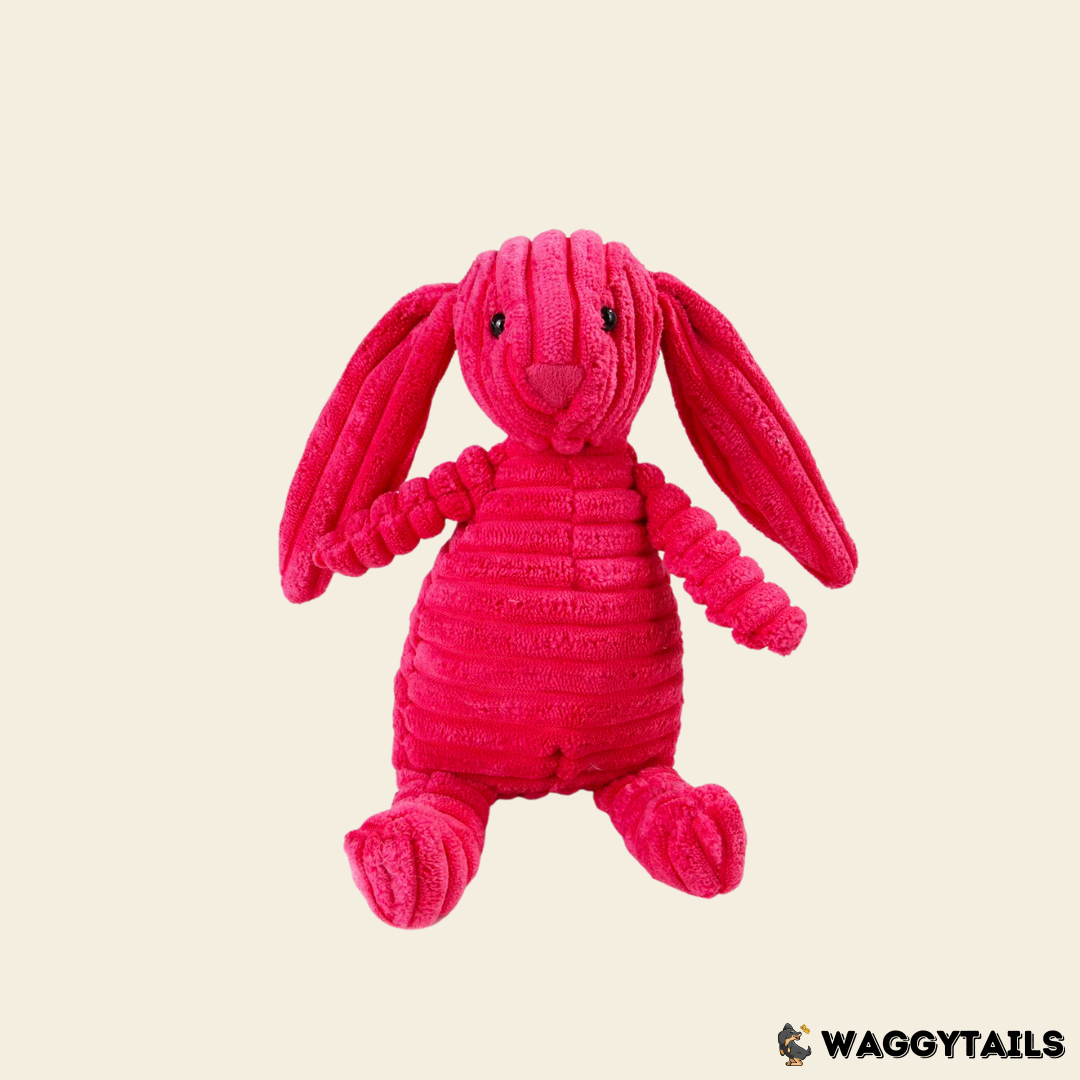 PLUSH Rabbit
