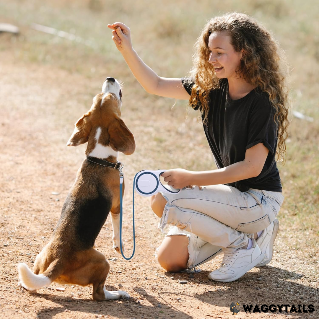 Waggytails Retractable Dog Leash - Sapphire Blue