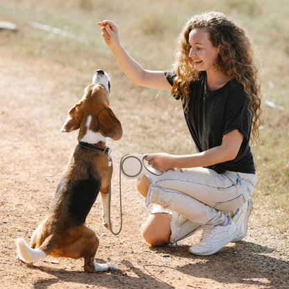 Waggytails Retractable Dog Leash - Coffee