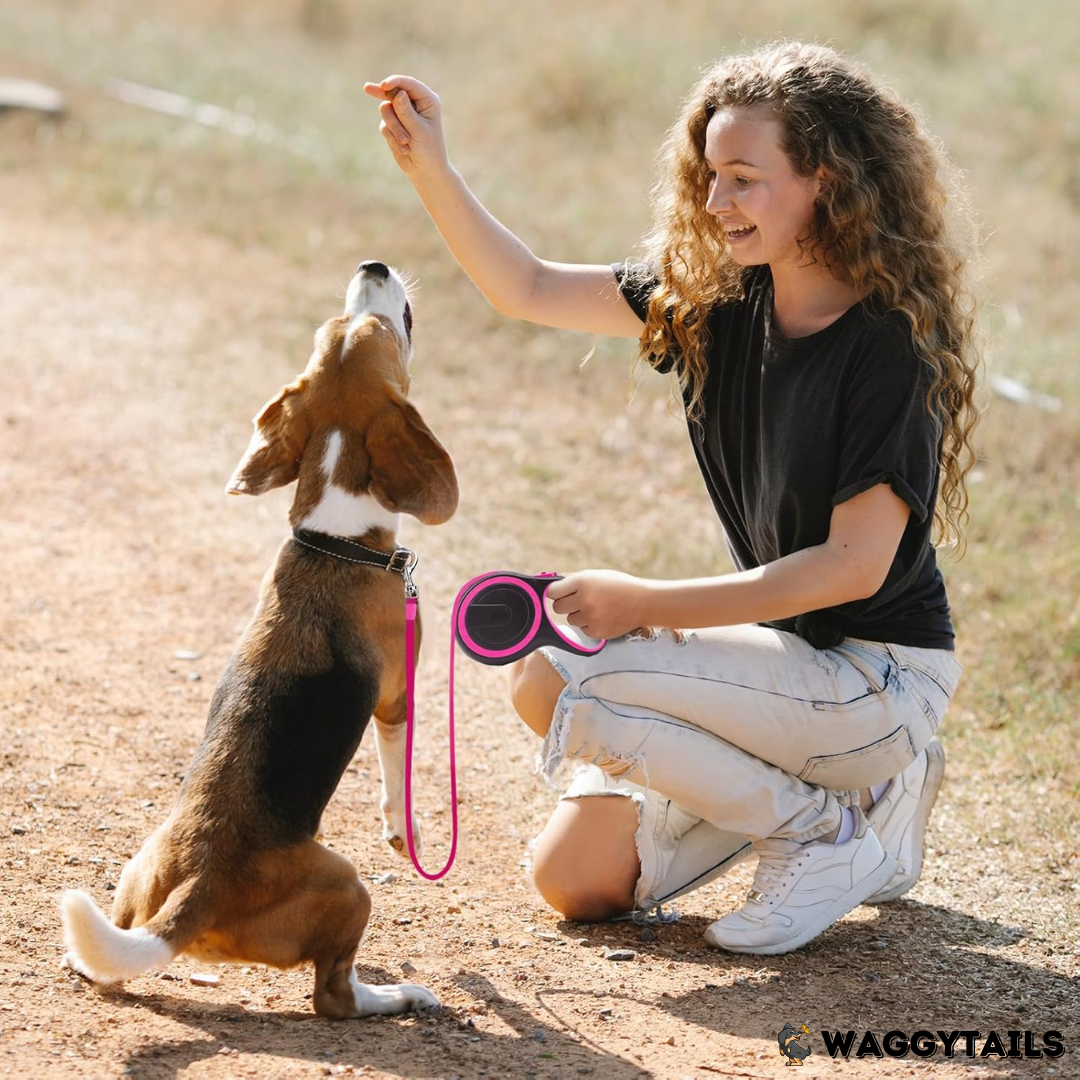 Waggytails Retractable Dog Leash - Pink