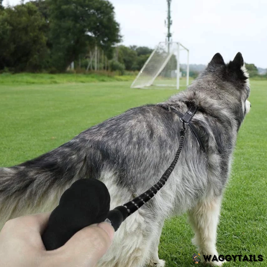 Waggytails Heavy Duty Reflective Dog Leash - Black