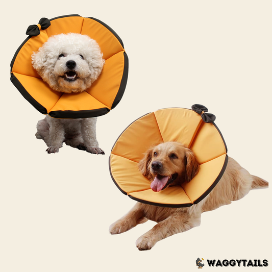 Waggytails Soft Pet Recovery Cone - Orange