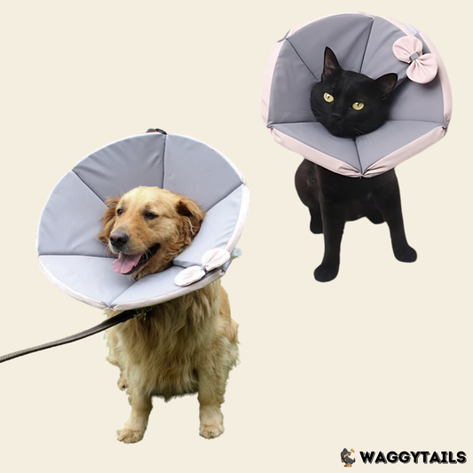 Waggytails Soft Pet Recovery Cone - Grey