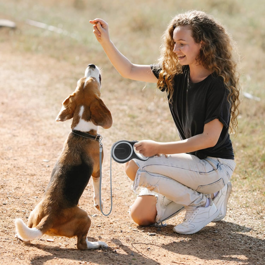 Waggytails Retractable Dog Leash - Grey