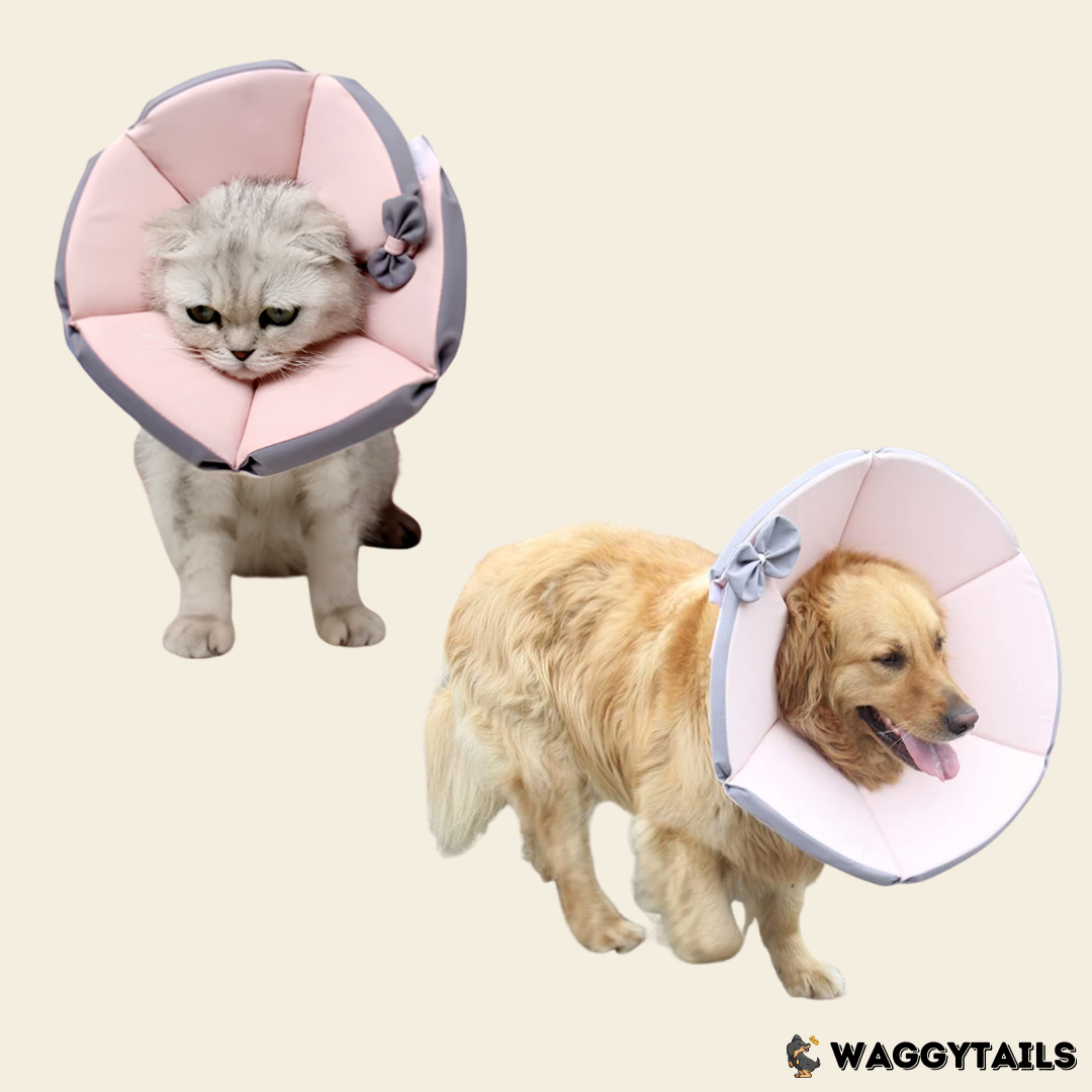 Waggytails Soft Pet Recovery Cone - Pink