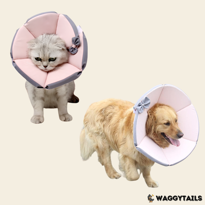 Waggytails Soft Pet Recovery Cone - Pink
