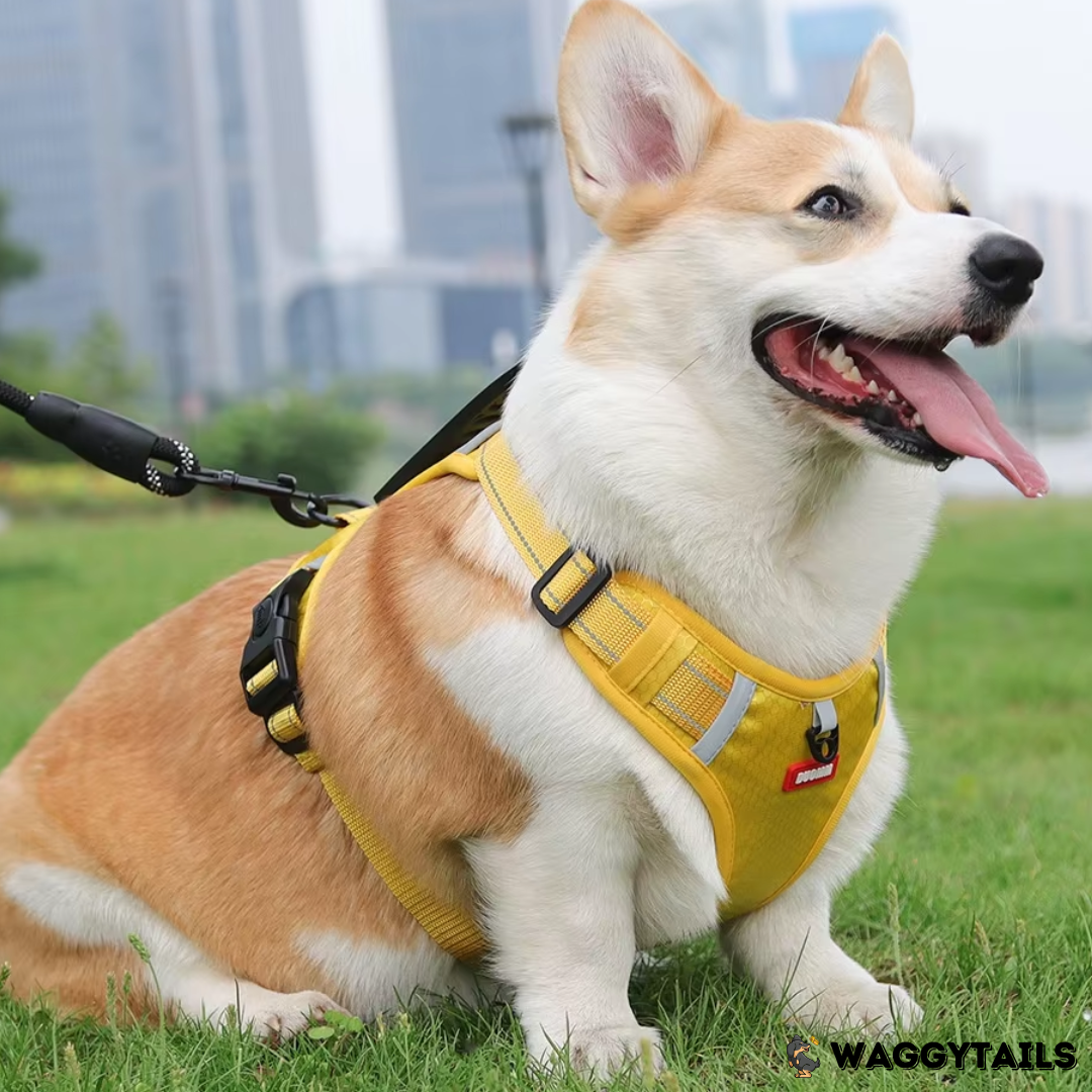 Waggytails Adjustable Reflective Dog Harness - Yellow