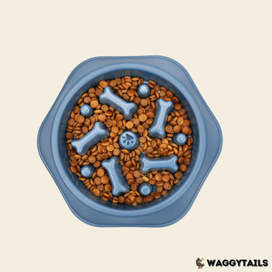 Waggytails Slow Feeder Bowl - Blue