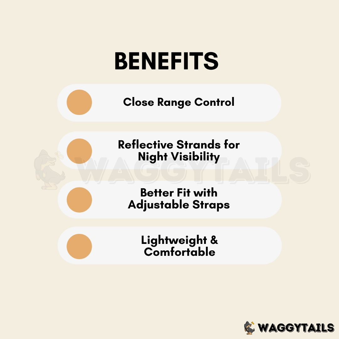 Waggytails Adjustable Reflective Dog Harness - Black