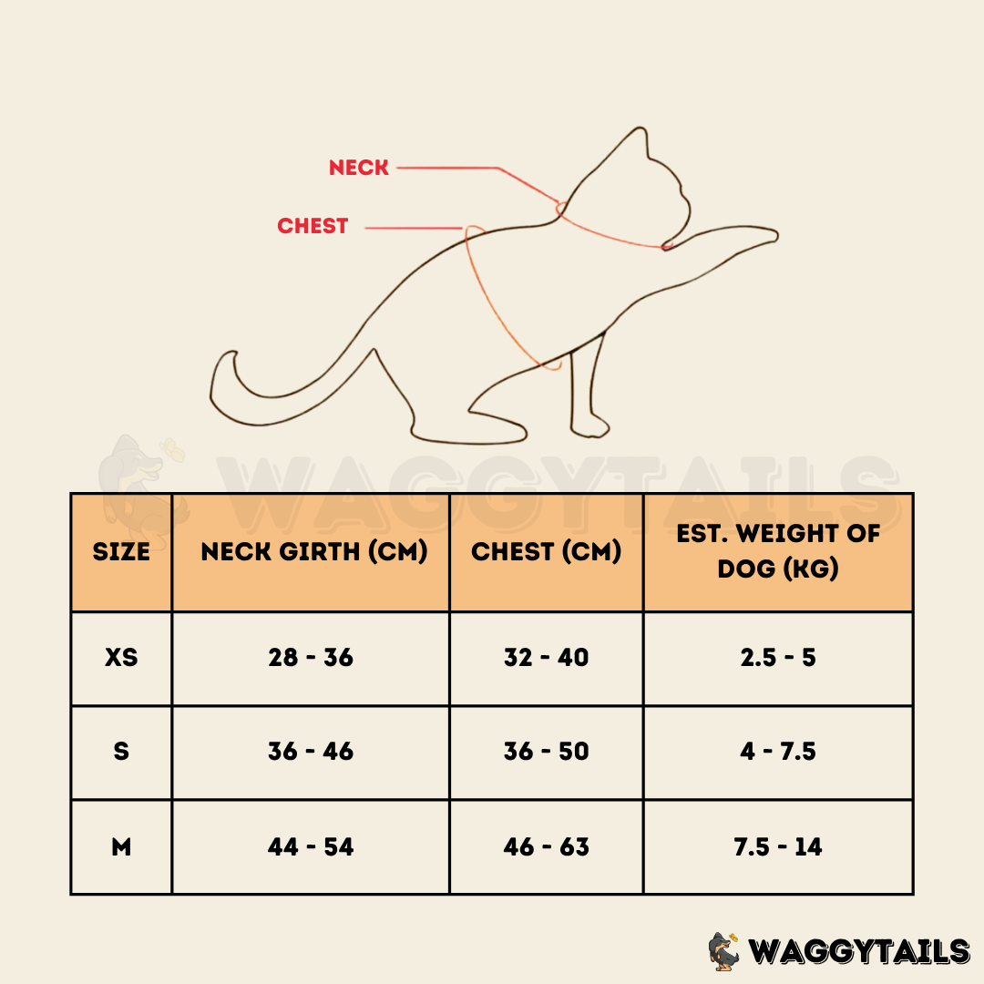 Waggytails Adjustable Reflective Dog Harness - Black