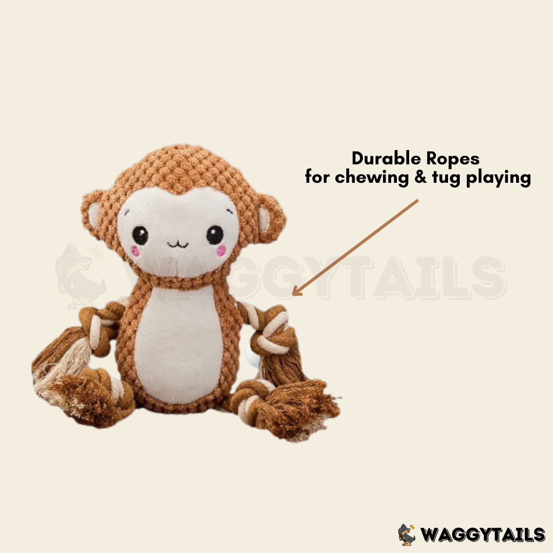 ROPE Monkey