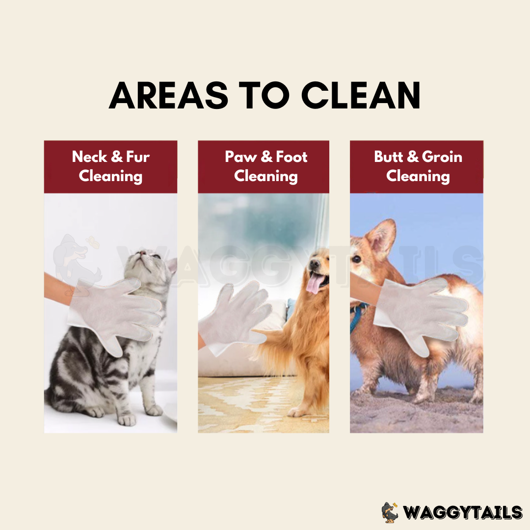 Kojima Pet Cleaning Gloves
