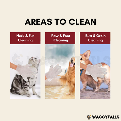 Kojima Pet Cleaning Gloves