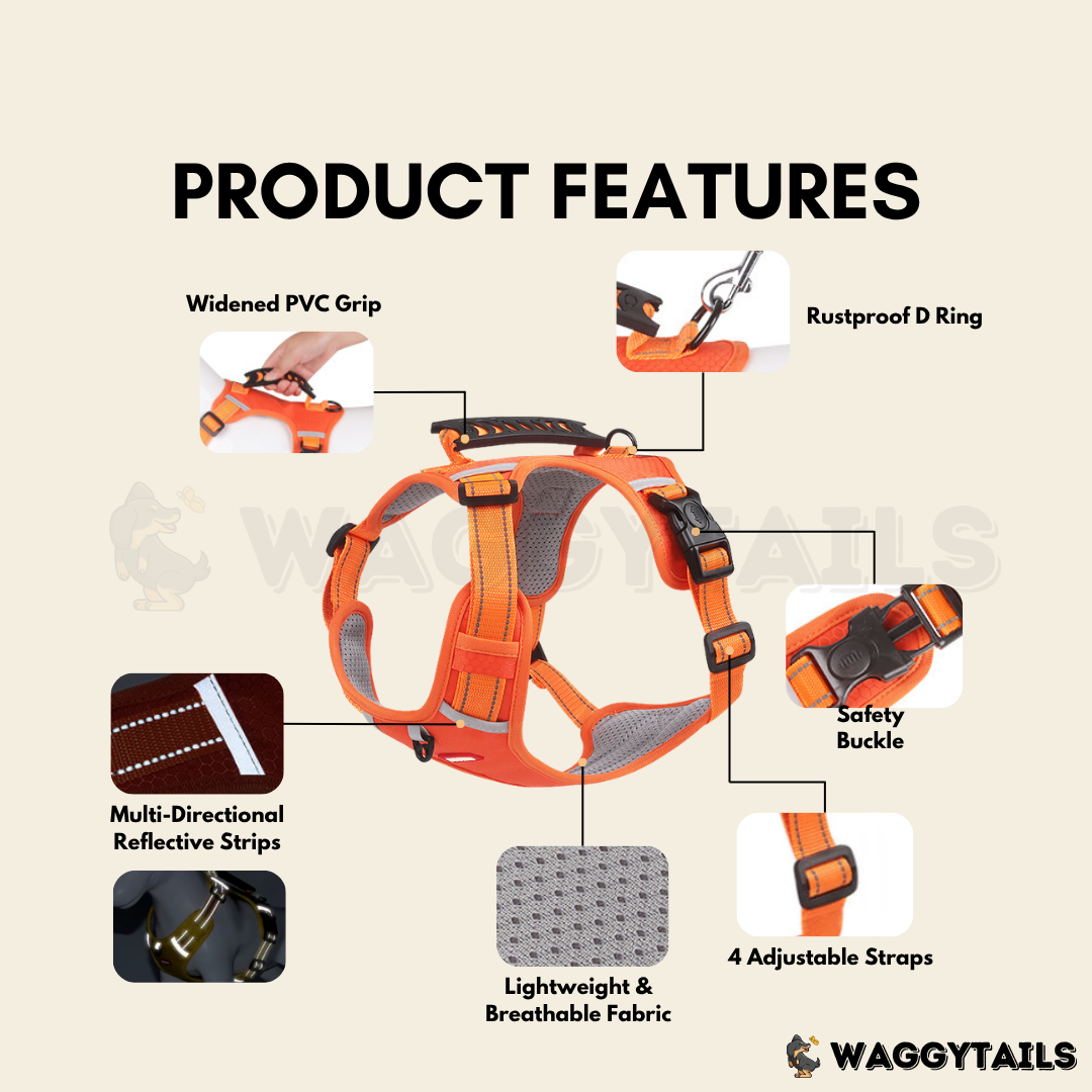 Waggytails Adjustable Reflective Dog Harness - Black