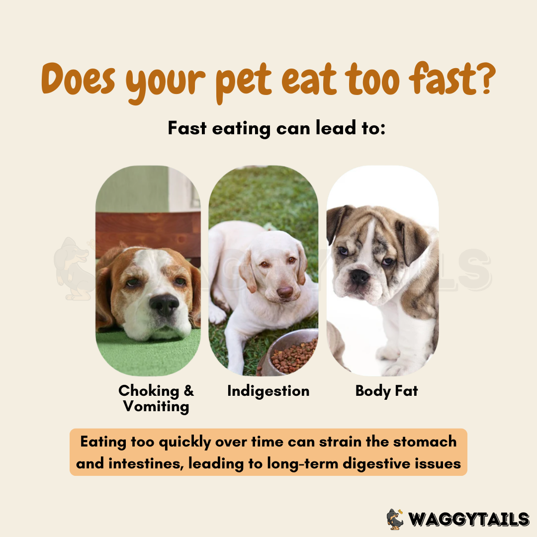 Waggytails Slow Feeder Bowl - Yellow
