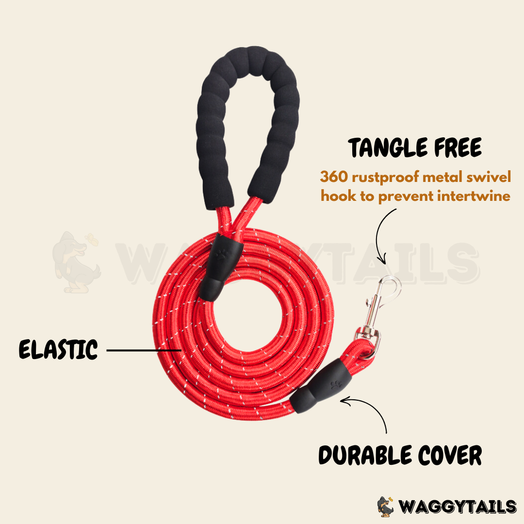 Reflective Rope Leash - Red