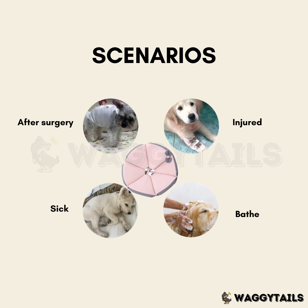 Waggytails Soft Pet Recovery Cone - Orange